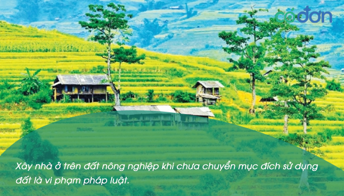 co duoc xay nha tren dat nong nghiep khong 2