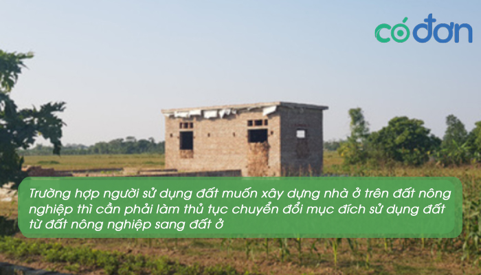 co duoc xay nha tren dat nong nghiep khong 4
