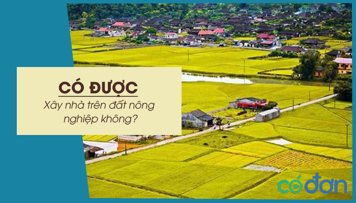 co duoc xay nha tren dat nong nghiep khong
