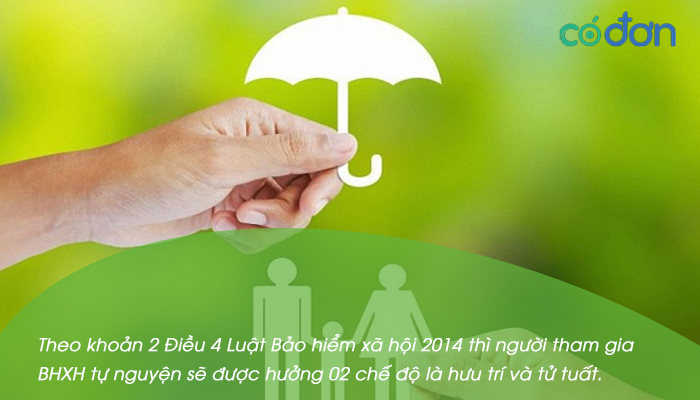 cac che do cua bh tu nguyen 2