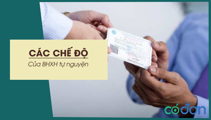cac che do cua bh tu nguyen