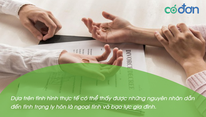 cach trinh bay nguyen nhan ly hon ly do ly hon hop phap 2