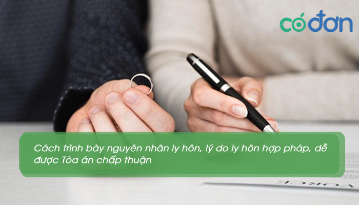cach trinh bay nguyen nhan ly hon ly do ly hon hop phap 3