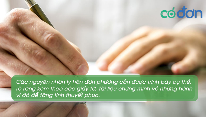 cach trinh bay nguyen nhan ly hon ly do ly hon hop phap 4