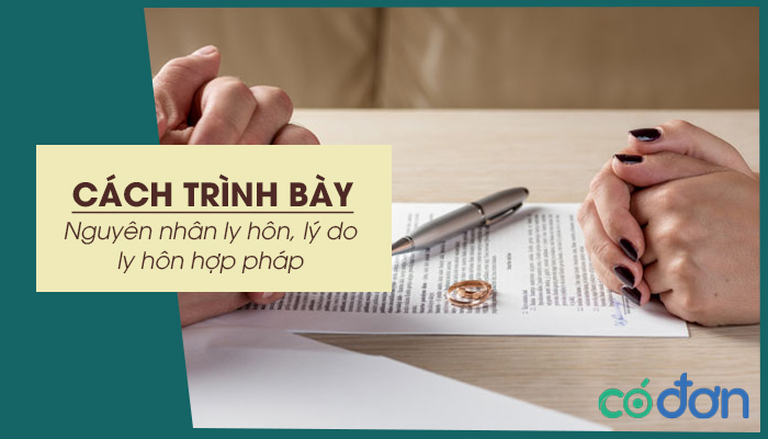 cach trinh bay nguyen nhan ly hon ly do ly hon hop phap