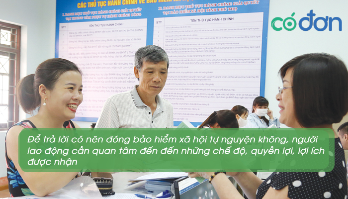 co nen dong bhxh tu nguyen khong 3