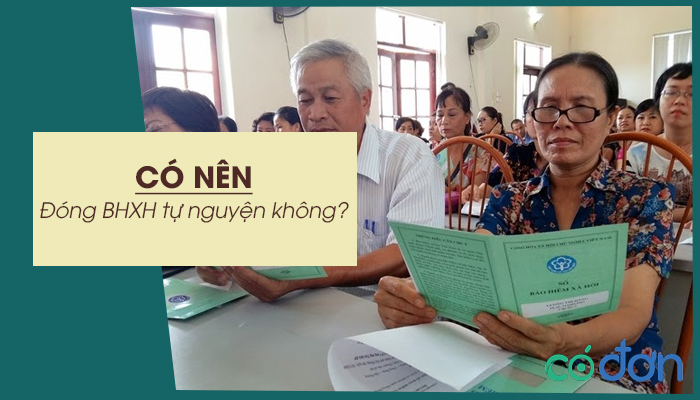 co nen dong bhxh tu nguyen khong
