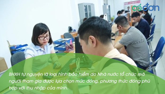 doi tuong dong bh tu nguyen do tuoi dong 2