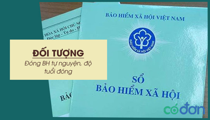 doi tuong dong bh tu nguyen do tuoi dong