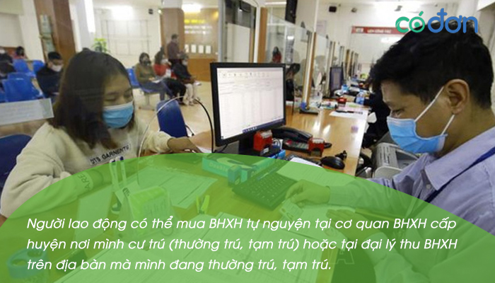 mua bhxh tu nguyen o dau 2