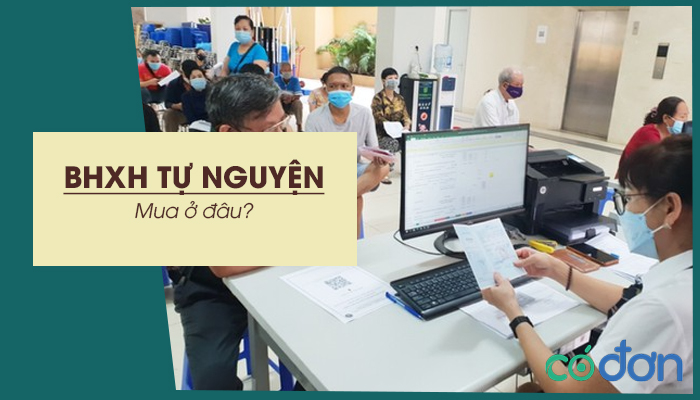 mua bhxh tu nguyen o dau
