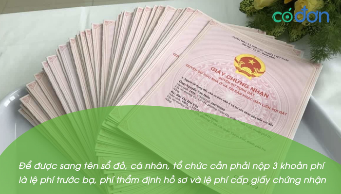le phi truoc ba khi sang ten so do 2