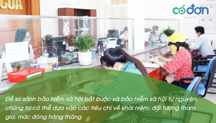 so sanh bhxh bat buoc va bhxh tu nguyen 2