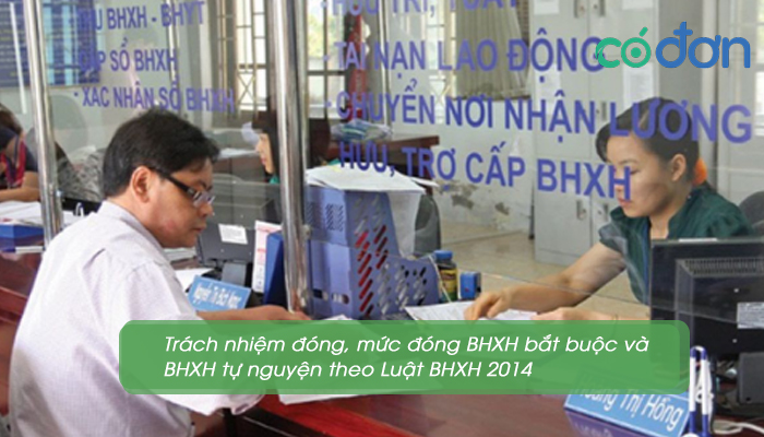 so sanh bhxh bat buoc va bhxh tu nguyen 3