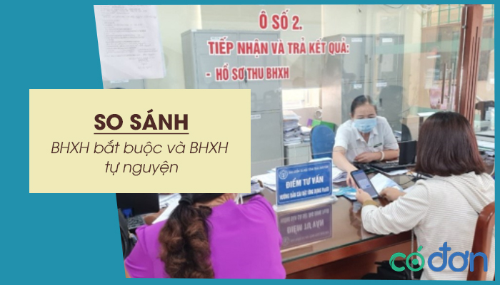 so sanh bhxh bat buoc va bhxh tu nguyen