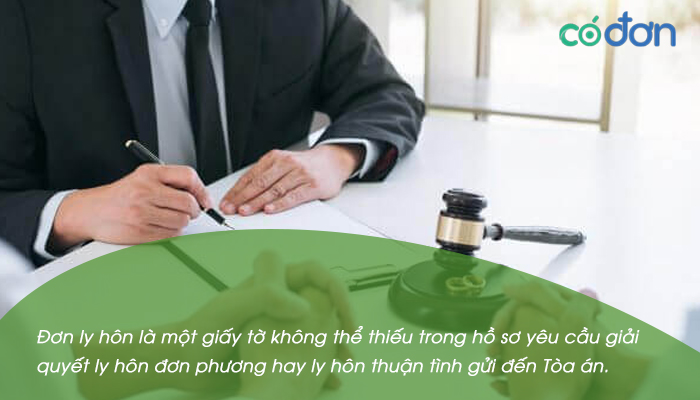 don xin ly hon 2