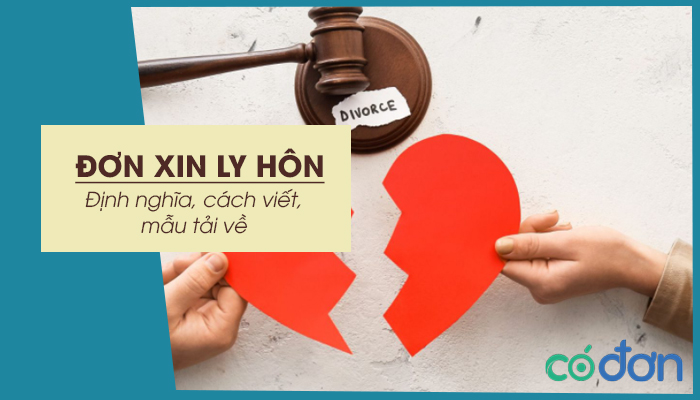 don xin ly hon