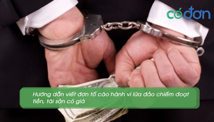mau don to cao hanh vi lua dao chiem doat tai san 4