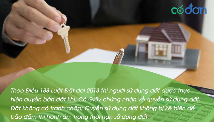 ben ban dat can nhung giay to gi 2