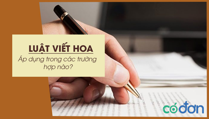 luat viet hoa ap dung cac truong hop nao