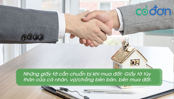 mua dat can giay to gi 3