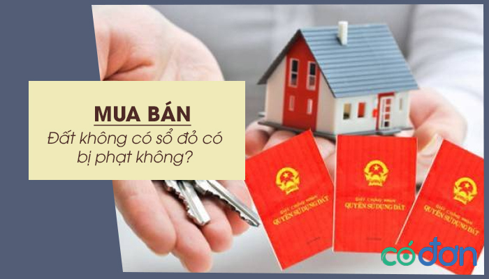 mua dat khong co so do co bi phat khong