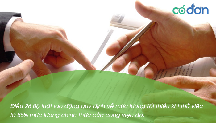 quy dinh moi nhat ve thoi gian thu viec 2