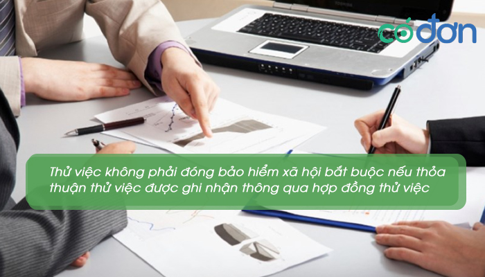 thu viec co phai dong bhxh bat buoc 3