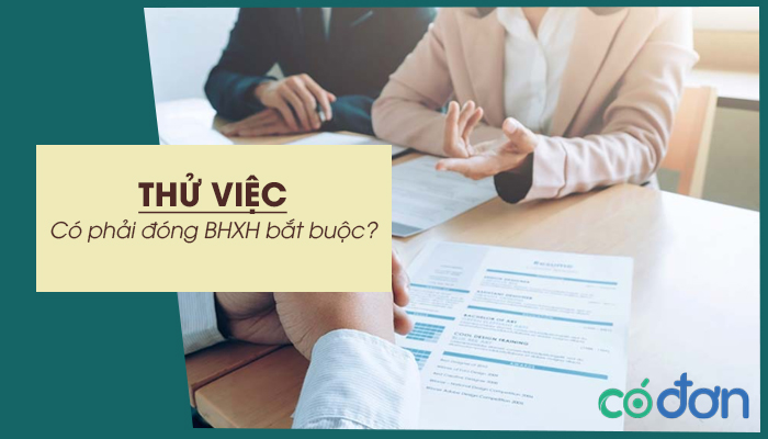 thu viec co phai dong bhxh bat buoc