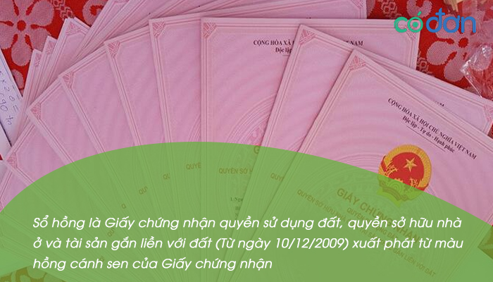 phan biet so hong so do so trang so xanh 2