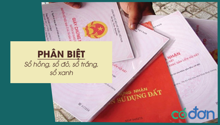 phan biet so hong so do so trang so xanh