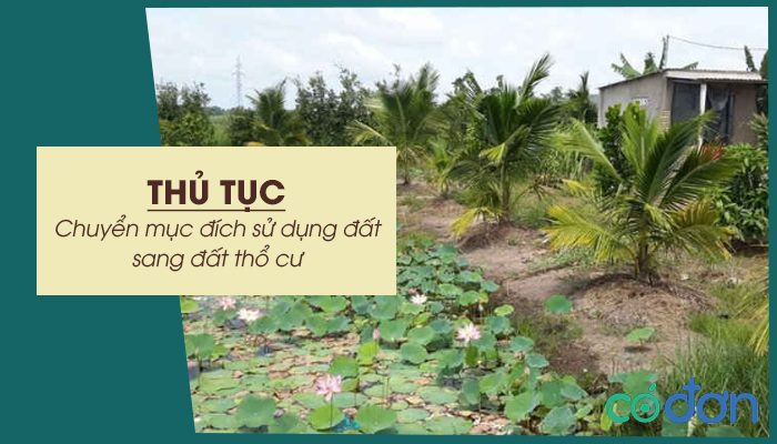 thu tuc chuyen muc dich su dung dat sang dat tho cu