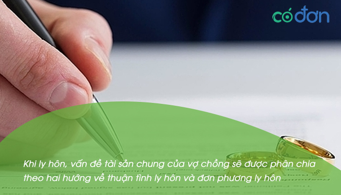 bo me ly hon con co duoc chia tai san khong 2