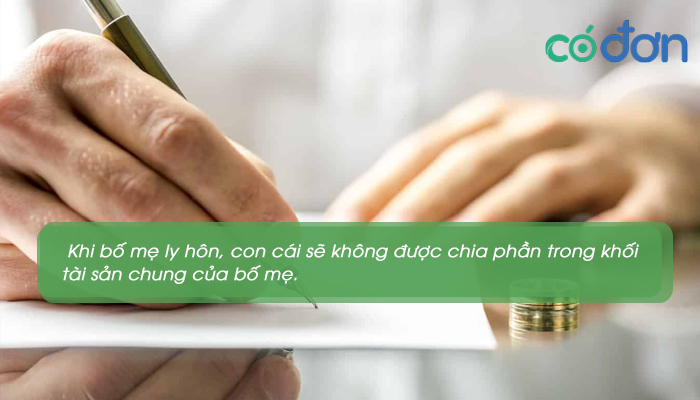 bo me ly hon con co duoc chia tai san khong 3