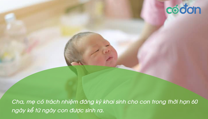 lam giay khai sinh cho con muon bi phat bao nhieu tien 2