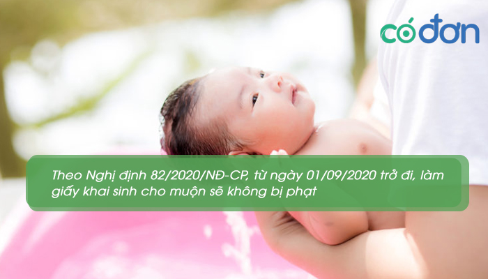 lam giay khai sinh cho con muon bi phat bao nhieu tien 3