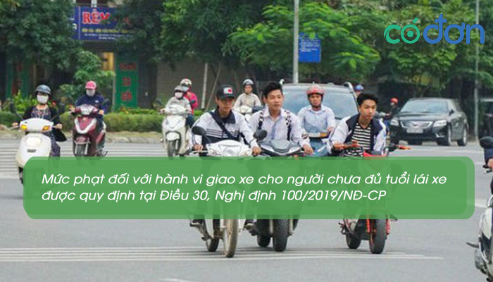 chua du tuoi lai xe phat bao nhieu 3