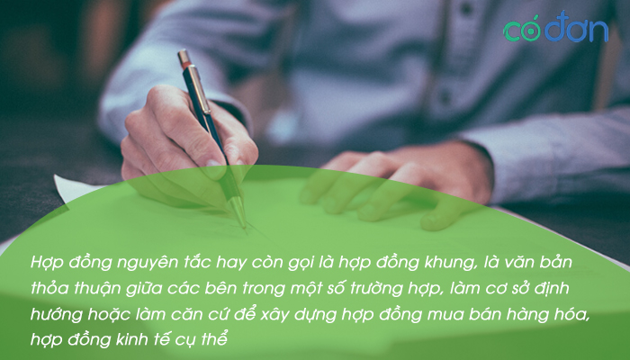 hop dong nguyen tac la gi 2