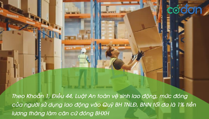muc dong quy dinh mua bao hiem tai nan cho nld quy bhtnld bao nhieu 2