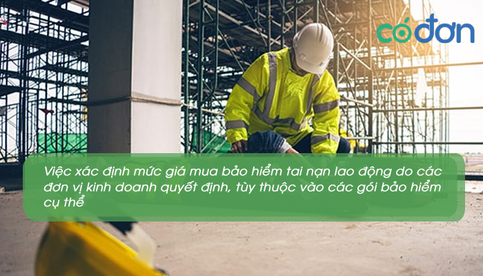 muc dong quy dinh mua bao hiem tai nan cho nld quy bhtnld bao nhieu 3