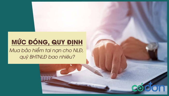 muc dong quy dinh mua bao hiem tai nan cho nld quy bhtnld bao nhieu