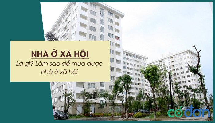 nha o xa hoi la gi lam sao de mua duoc nha o xa hoi