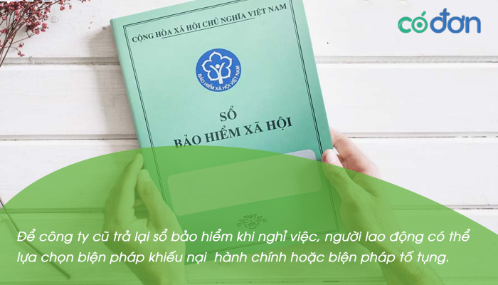 cong ty khong tra so bhxh khi nghi viec thi phai lam sao 2