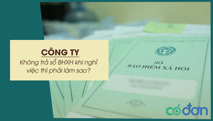 cong ty khong tra so bhxh khi nghi viec thi phai lam sao