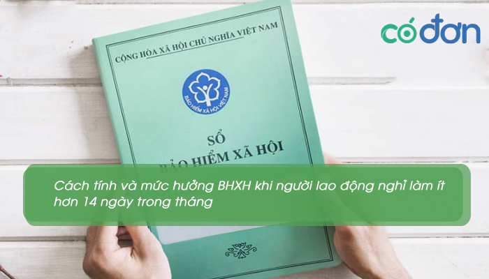 lam viec bao nhieu ngay trong thang thi duoc dong bhxh 3