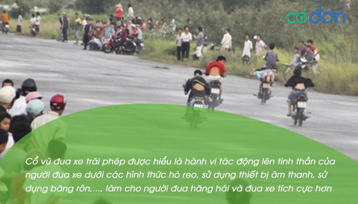 co vu dua xe trai phep phat bao nhieu 2