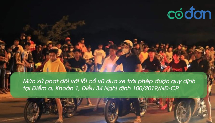 co vu dua xe trai phep phat bao nhieu 3