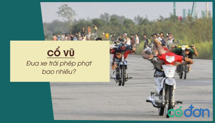co vu dua xe trai phep phat bao nhieu