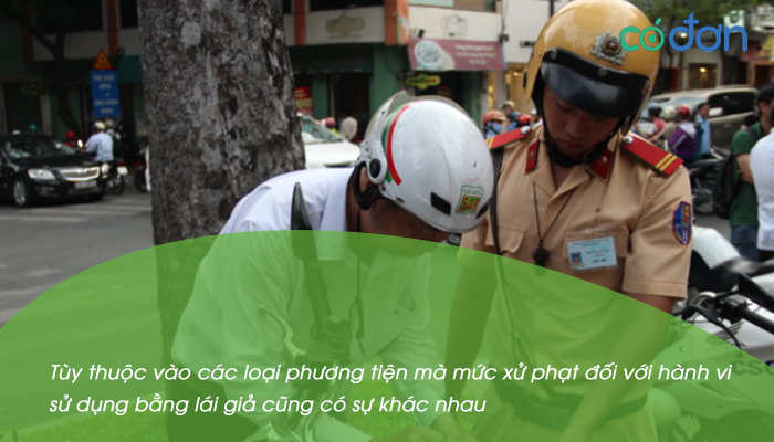 dung bang lai xe gia phat bao nhieu 2