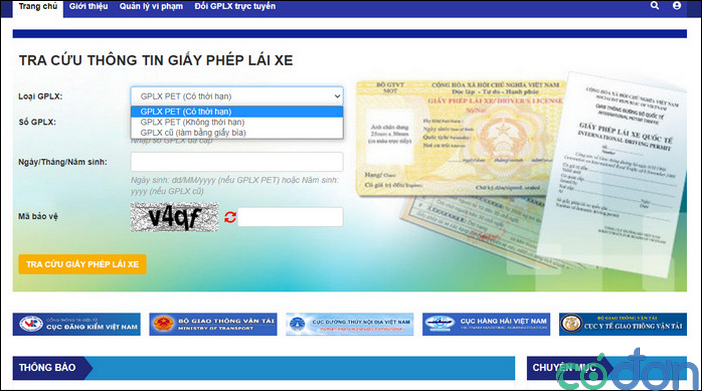 dung bang lai xe gia phat bao nhieu 3
